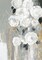 Cascading Gray Poster Print by Asia Jensen - Item # VARPDXJN381A